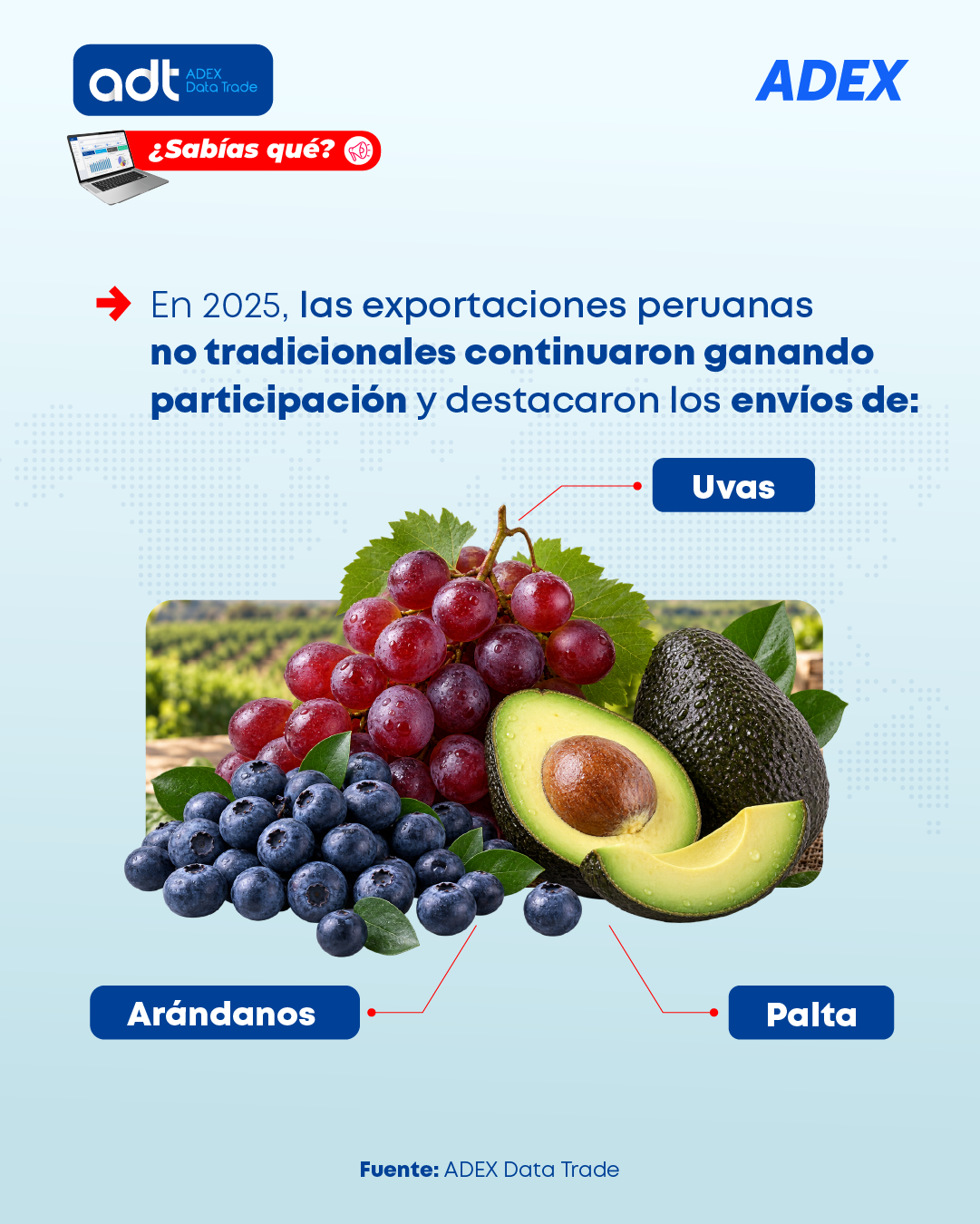 ¿Sabías qué? 5